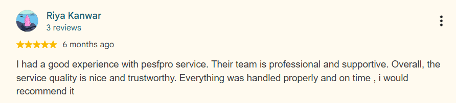Review from Riya Kanwar 