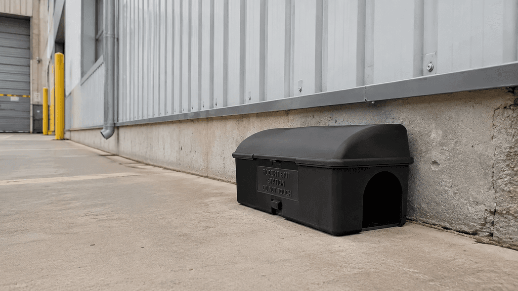 Rodent Control for Warehouses & Homes in Rajasthan