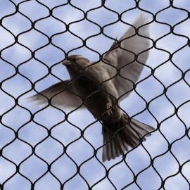Bird Control Services in Jaipur