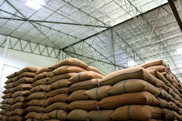 Commodity & Grain Fumigation Services in Jaipur