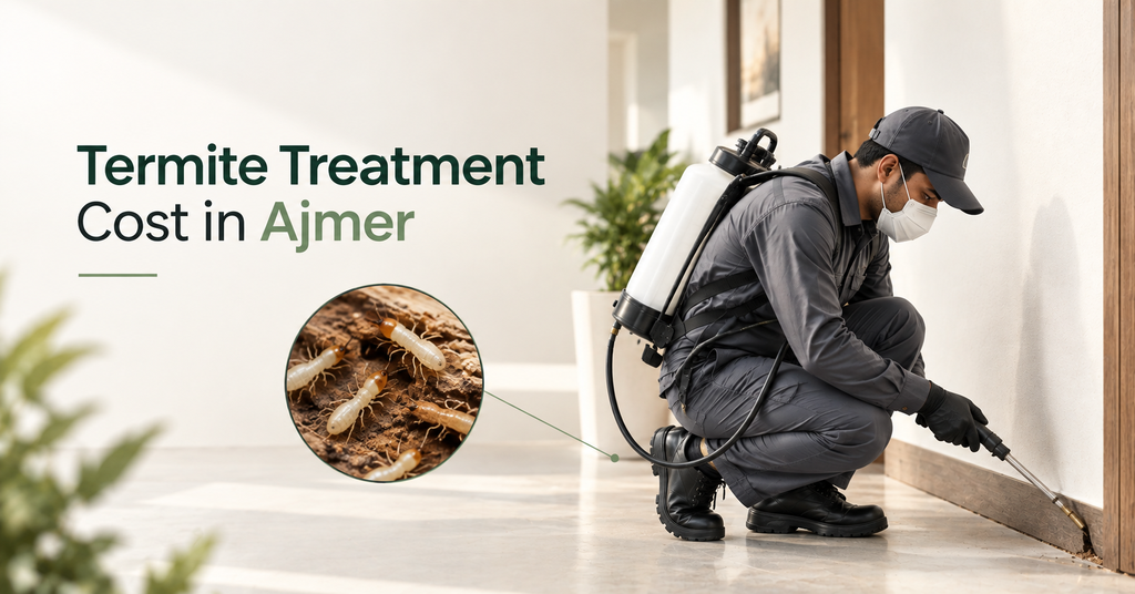 Termite Treatment Cost in Ajmer (2026 Guide)